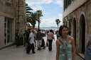 gal/cro 08/_thb_small-IMG_5041.JPG